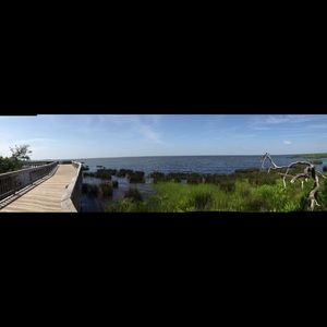 Meet your Posher, Barbara